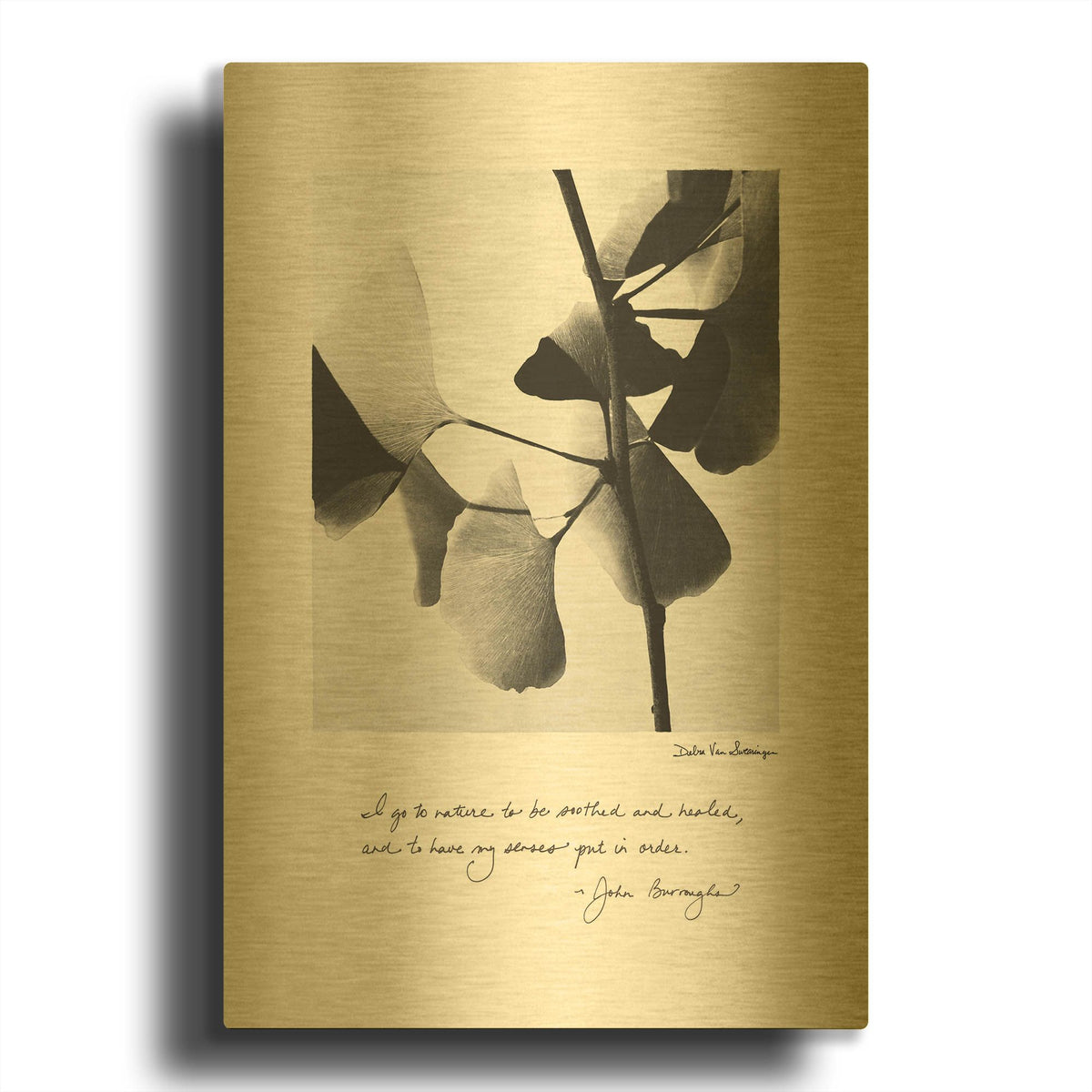 'Delicate Ginkgo v2' By Debra Van Swearingen Gold Metal Wall Art