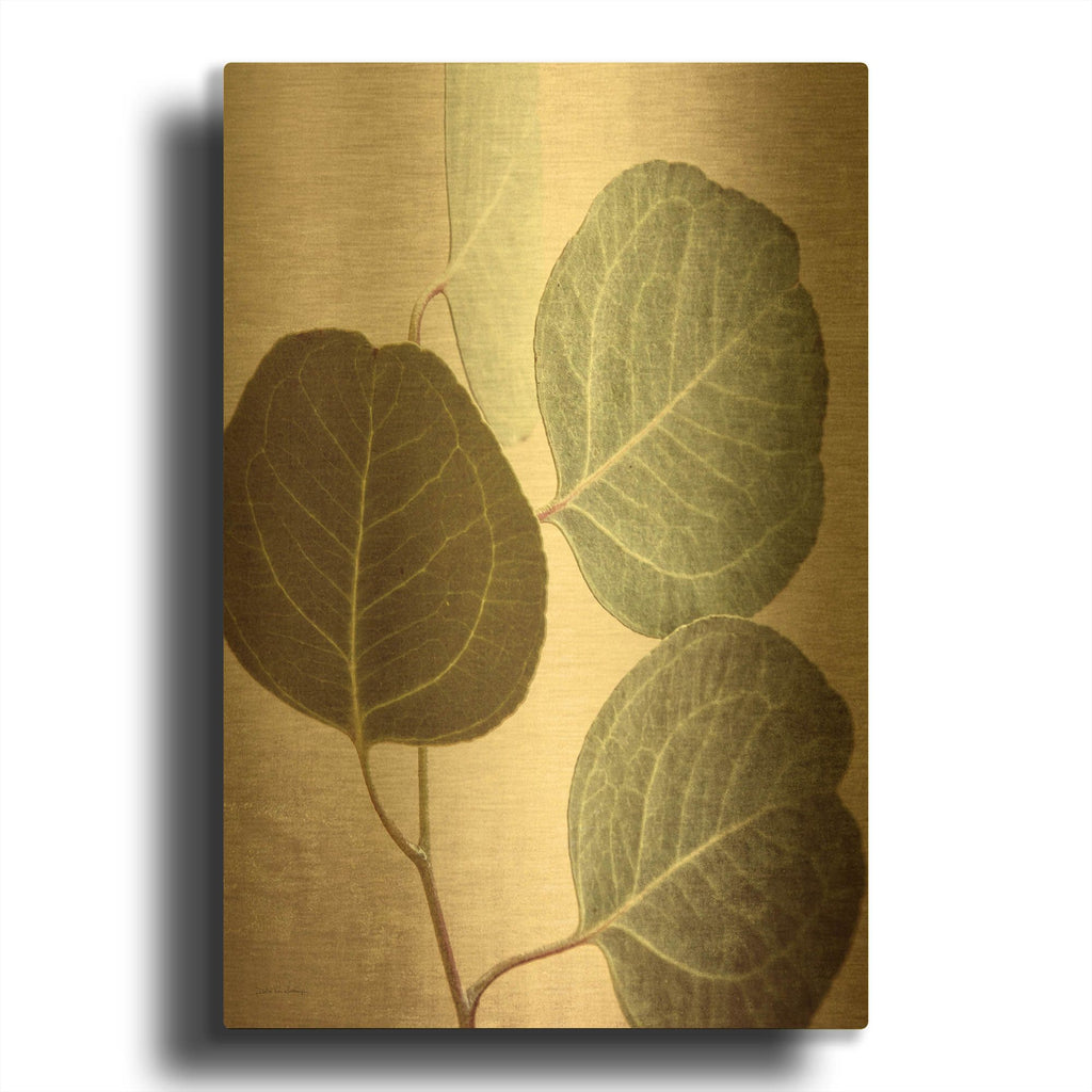 'Eucalyptus Color' By Debra Van Swearingen Gold Metal Wall Art