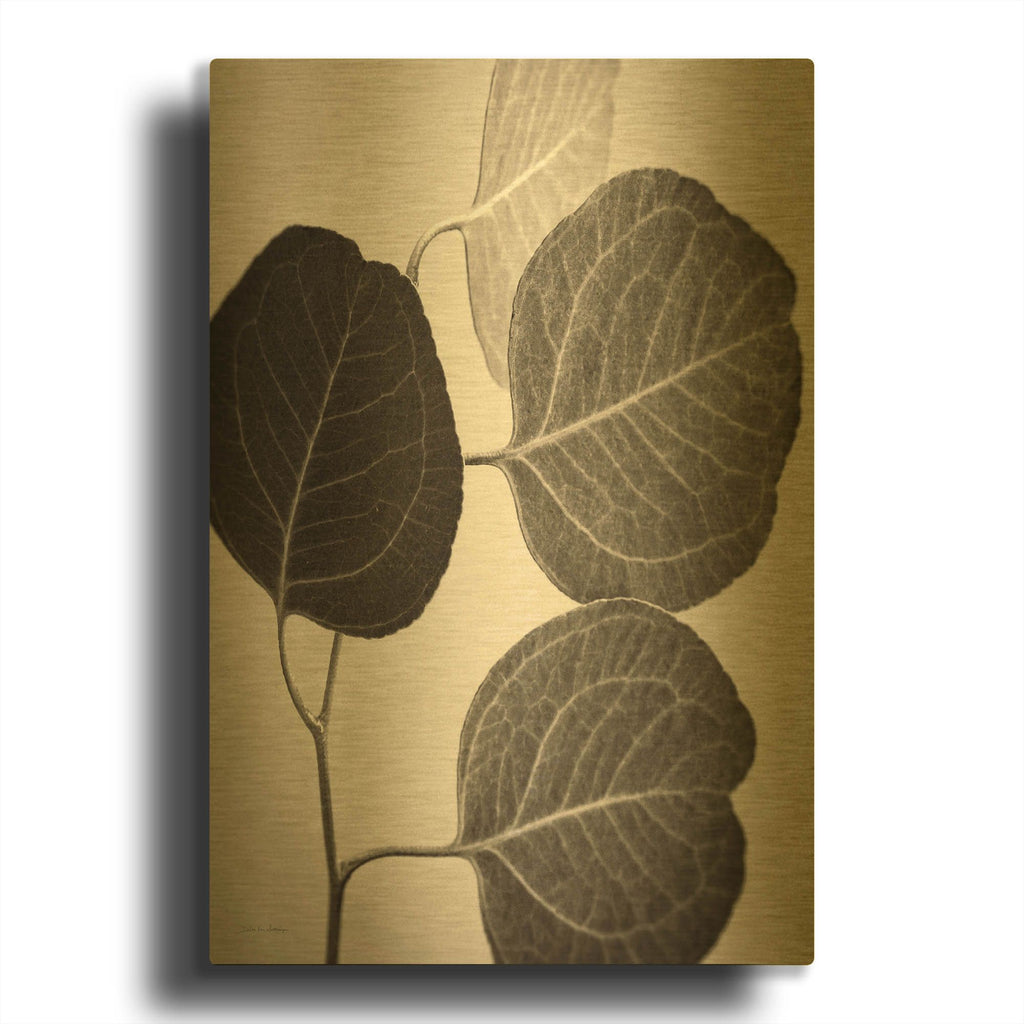 'Eucalyptus Sepia' By Debra Van Swearingen Gold Metal Wall Art