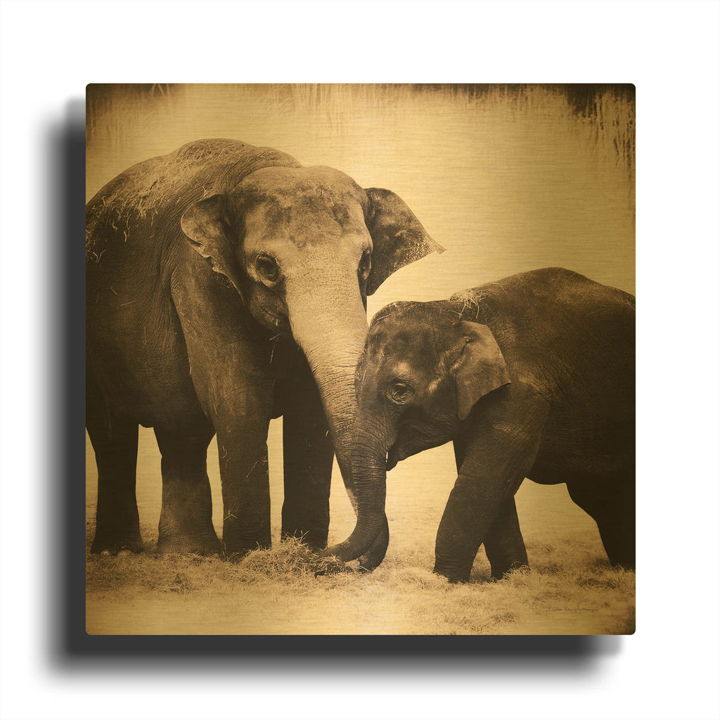 'Elephant III Sepia' By Debra Van Swearingen Gold Metal Wall Art
