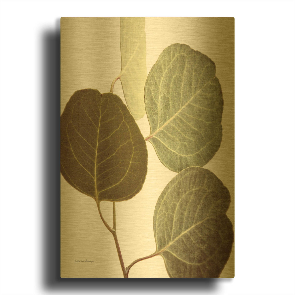 'Eucalyptus Color on White' By Debra Van Swearingen Gold Metal Wall Art