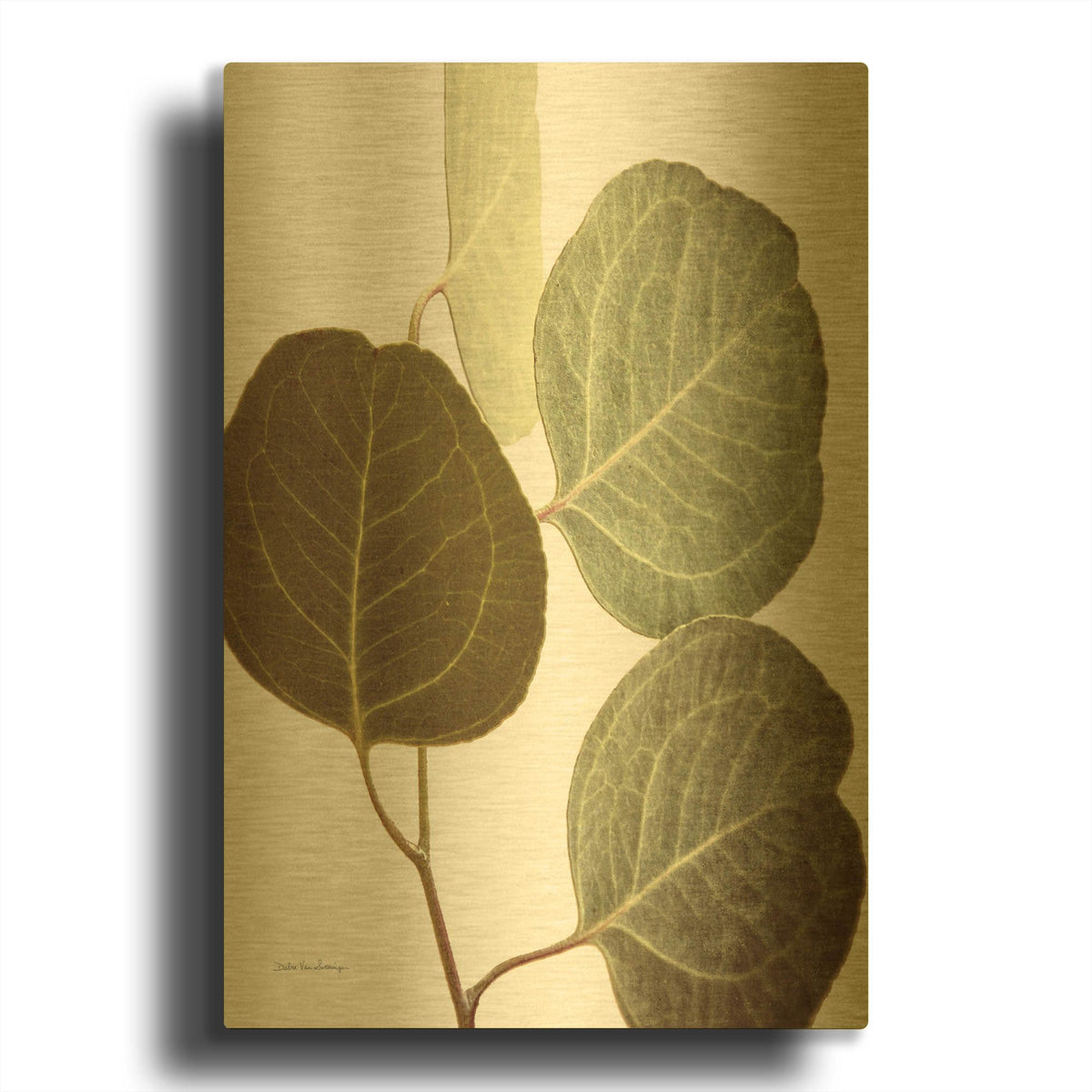 'Eucalyptus Color on White' By Debra Van Swearingen Gold Metal Wall Art