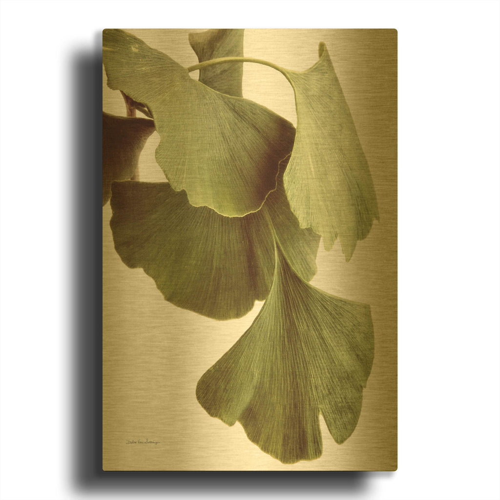 'Ginko Color on White' By Debra Van Swearingen Gold Metal Wall Art