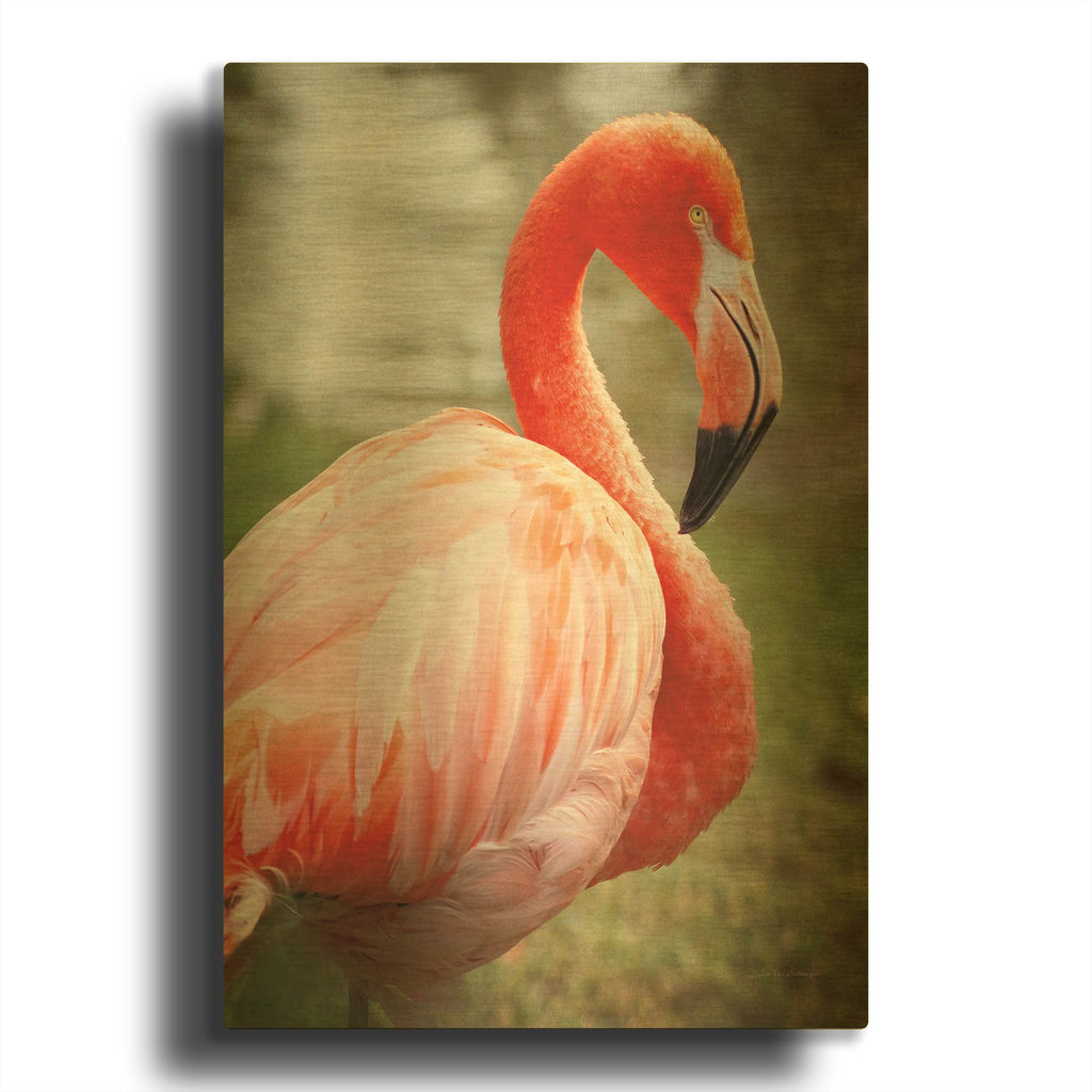'Flamingo I' By Debra Van Swearingen Gold Metal Wall Art