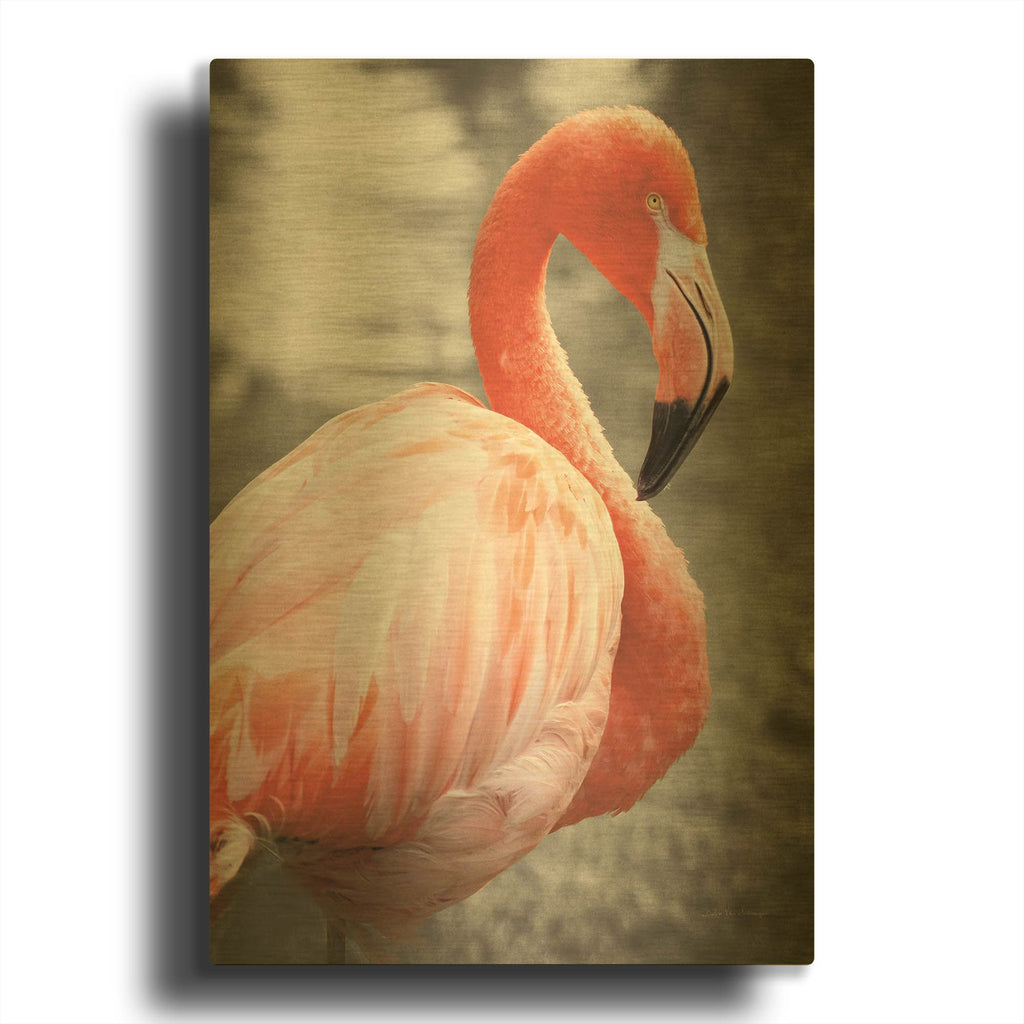 'Flamingo I on BW' By Debra Van Swearingen Gold Metal Wall Art