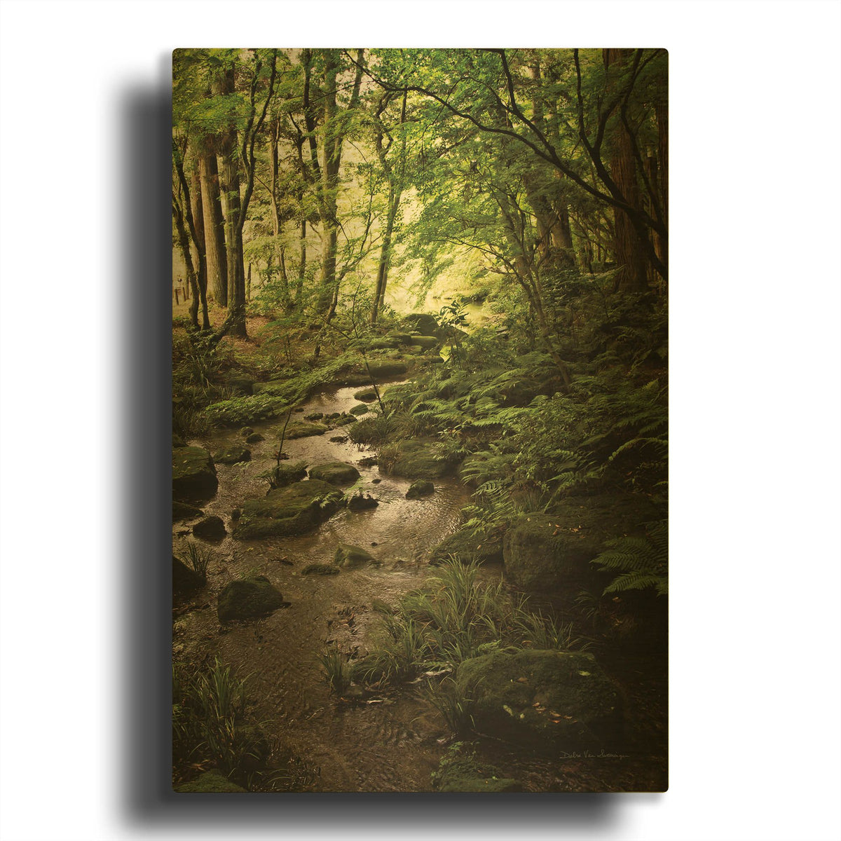 'Lush Creek in Forest' By Debra Van Swearingen Gold Metal Wall Art
