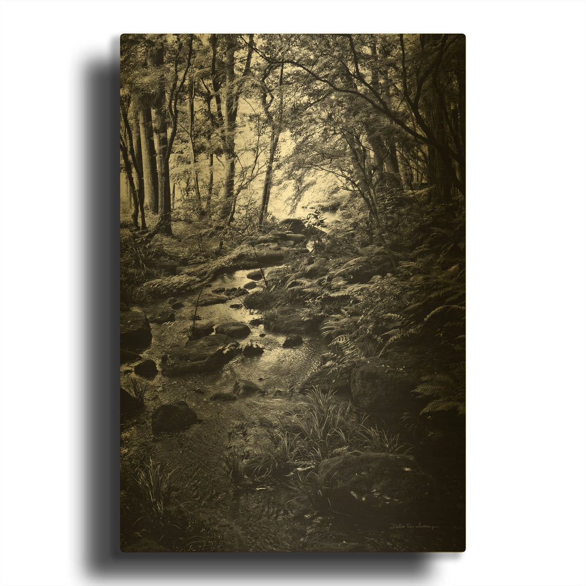 'Lush Creek in Forest BW' By Debra Van Swearingen Gold Metal Wall Art