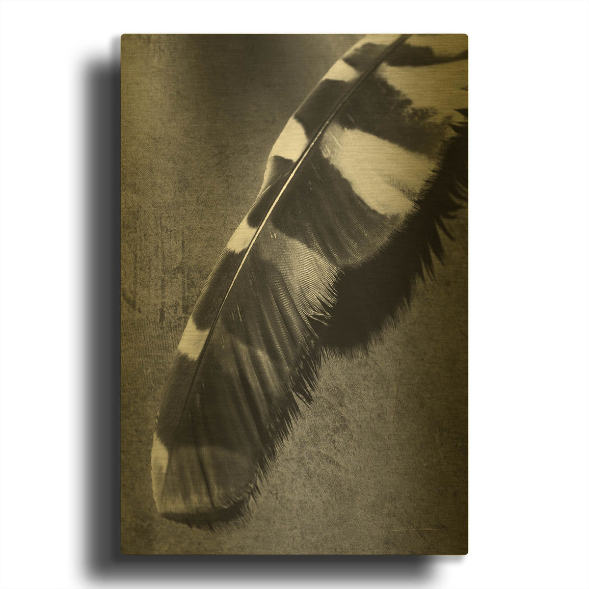 'Feather Shadow II' By Debra Van Swearingen Gold Metal Wall Art
