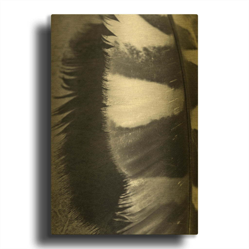 'Feather Shadow III' By Debra Van Swearingen Gold Metal Wall Art