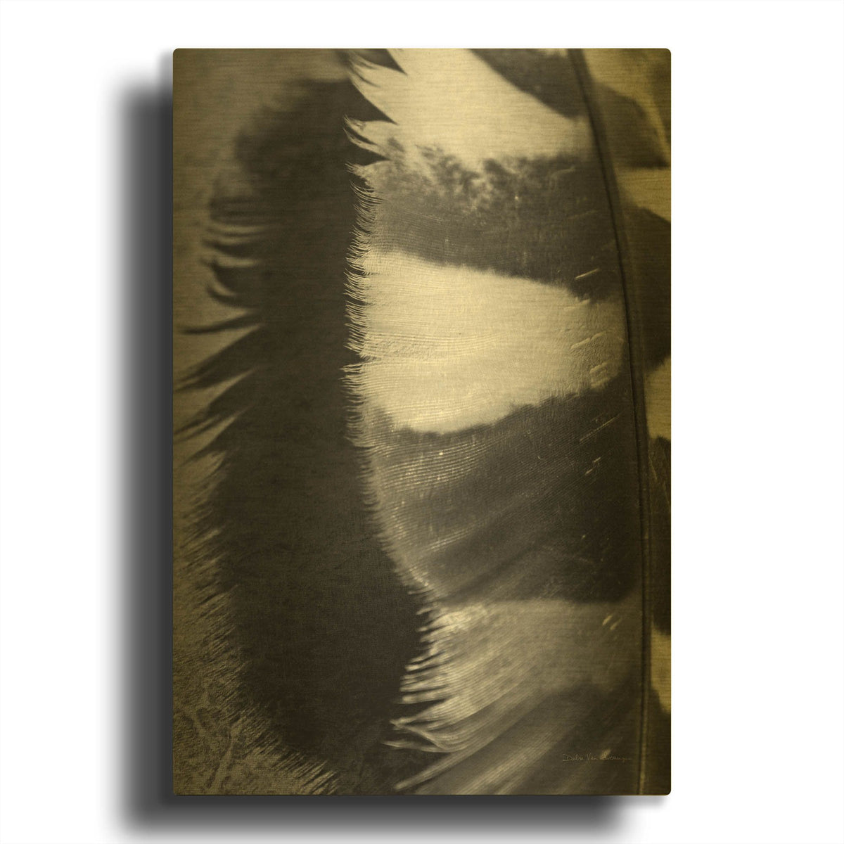 'Feather Shadow III' By Debra Van Swearingen Gold Metal Wall Art