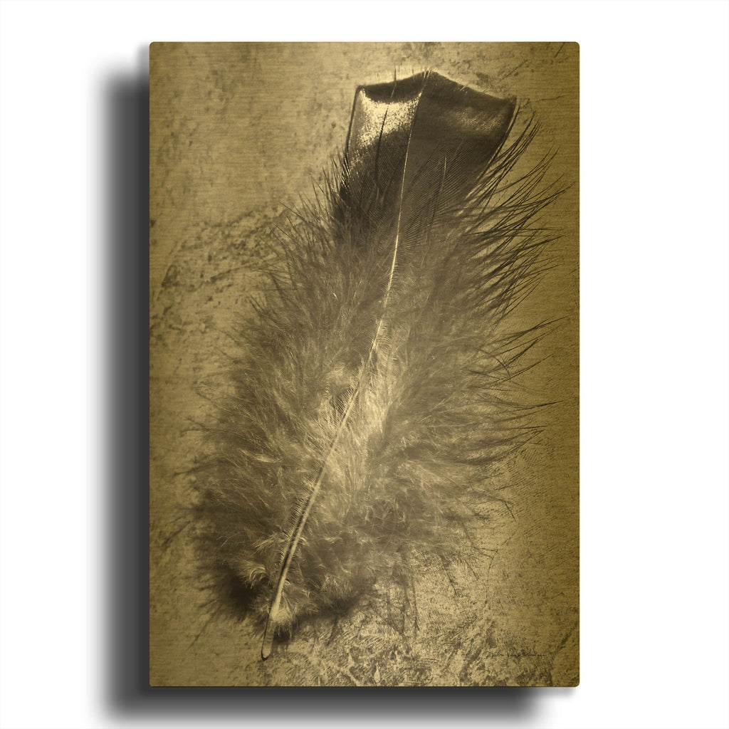 'Feather Shadow IV' By Debra Van Swearingen Gold Metal Wall Art