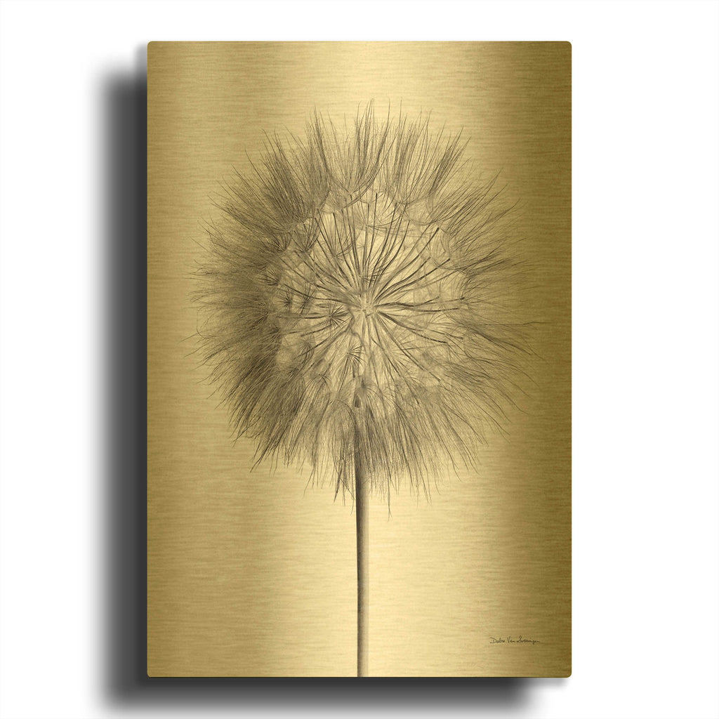 'Dandelion Fluff on White' By Debra Van Swearingen Gold Metal Wall Art