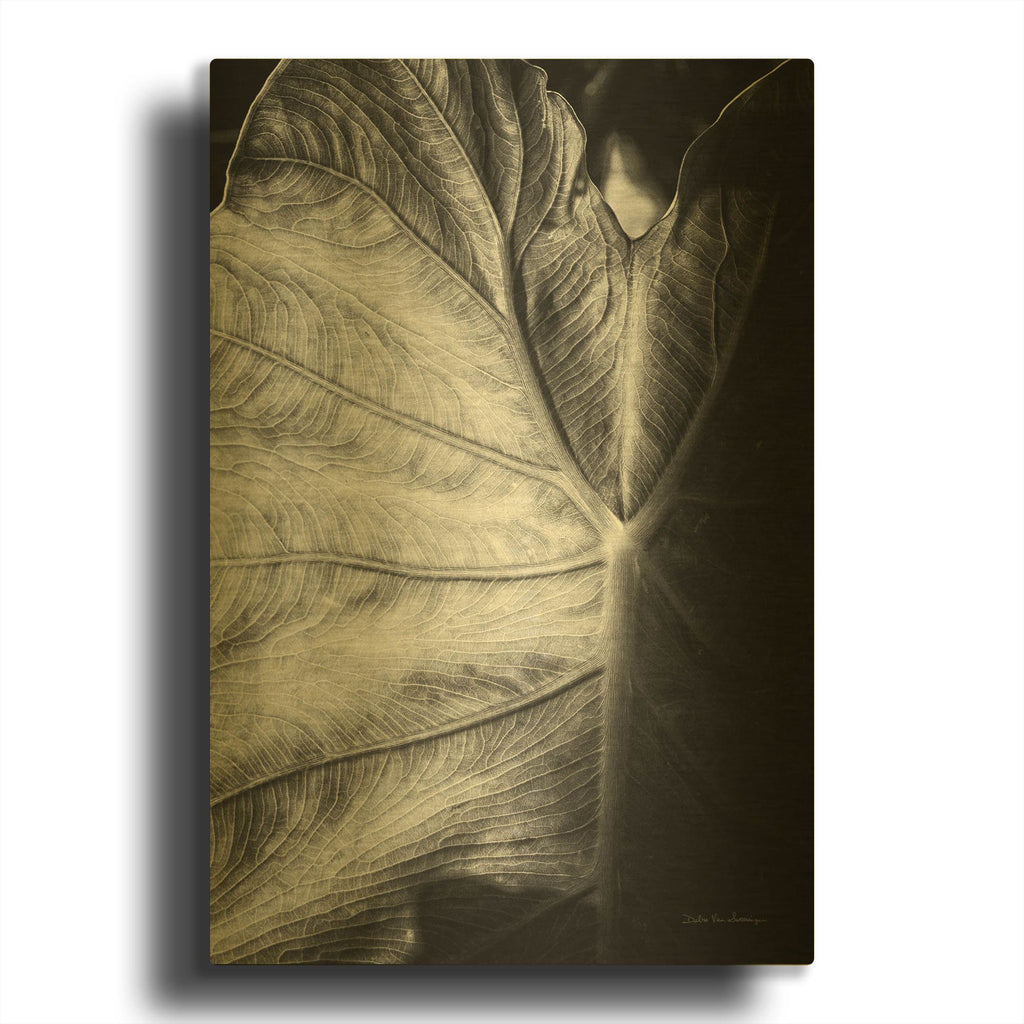 'Elephant Ear I' By Debra Van Swearingen Gold Metal Wall Art