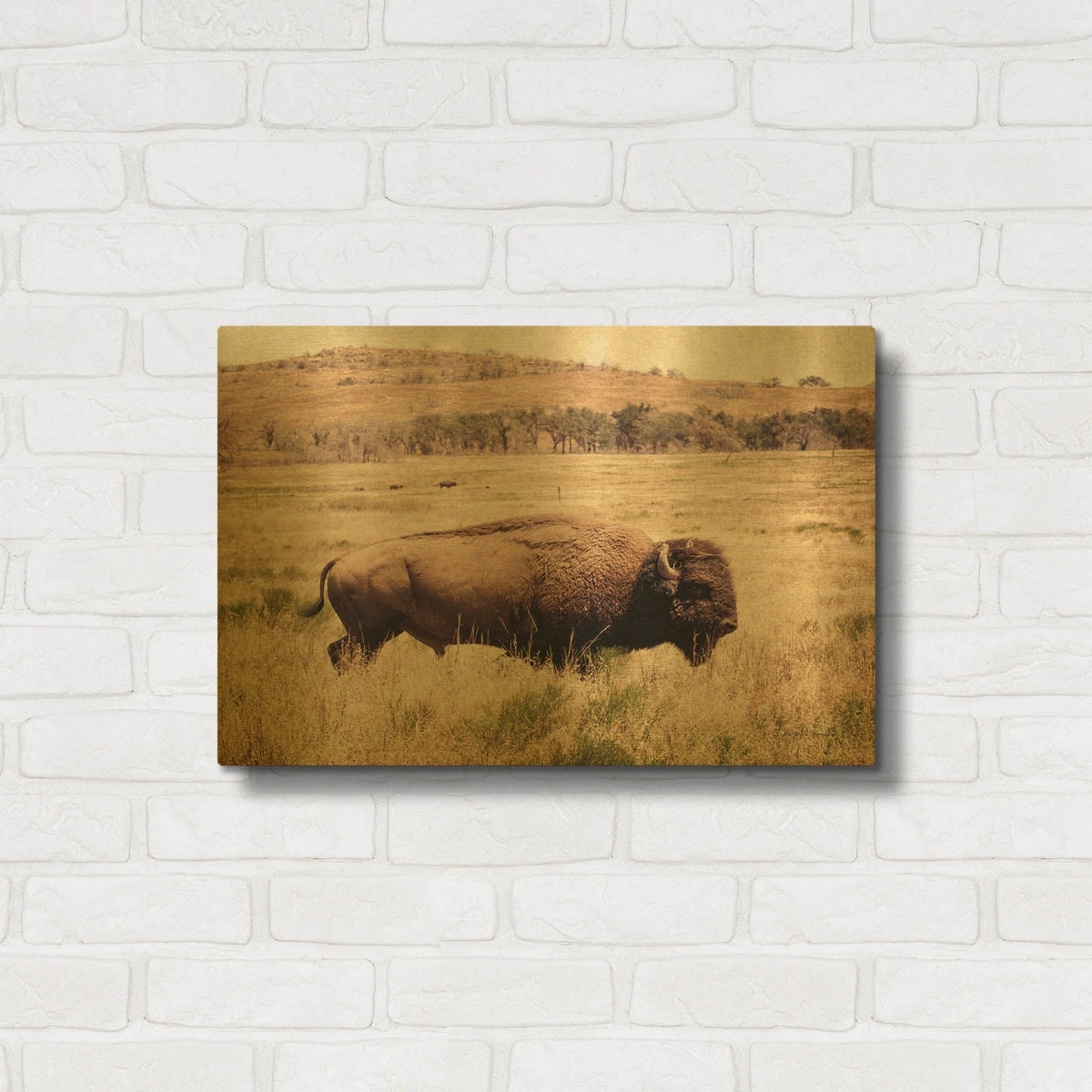'Buffalo I' By Debra Van Swearingen Gold Metal Wall Art