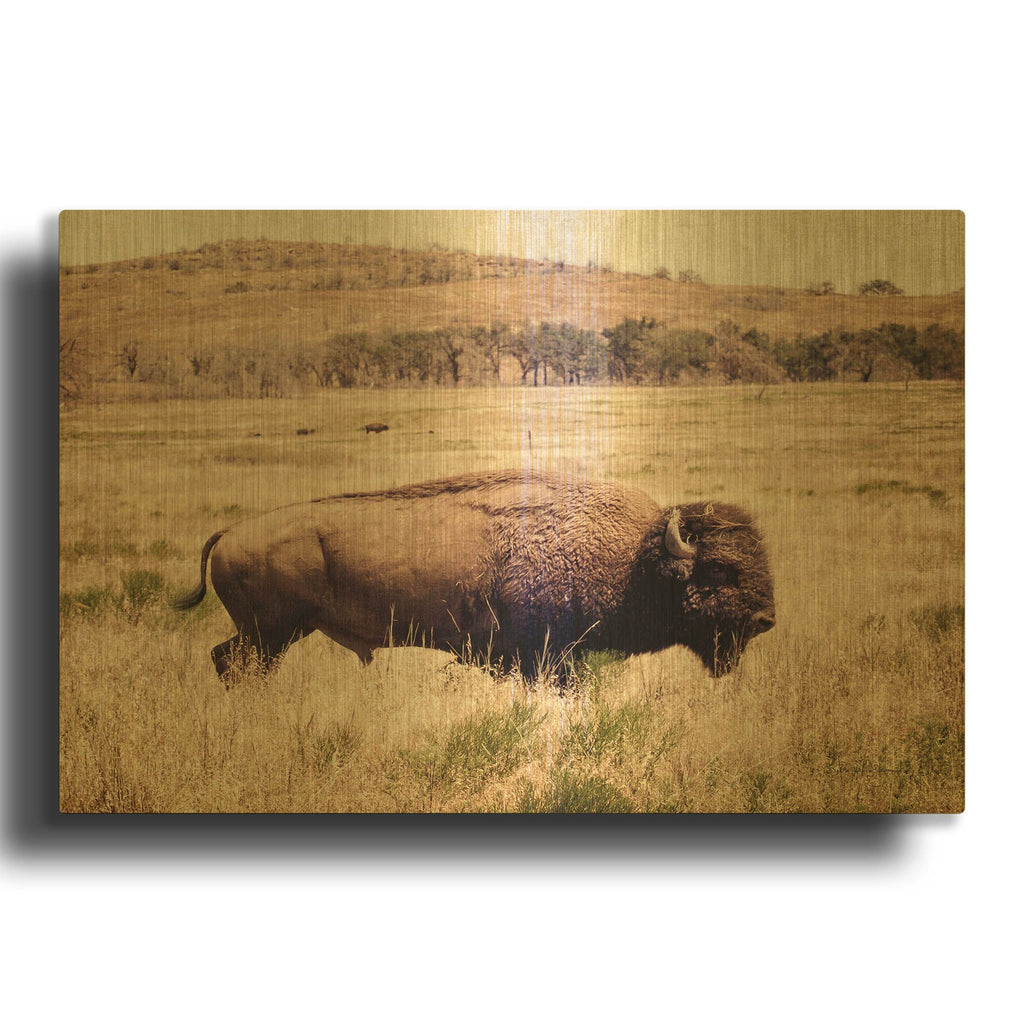'Buffalo I' By Debra Van Swearingen Gold Metal Wall Art