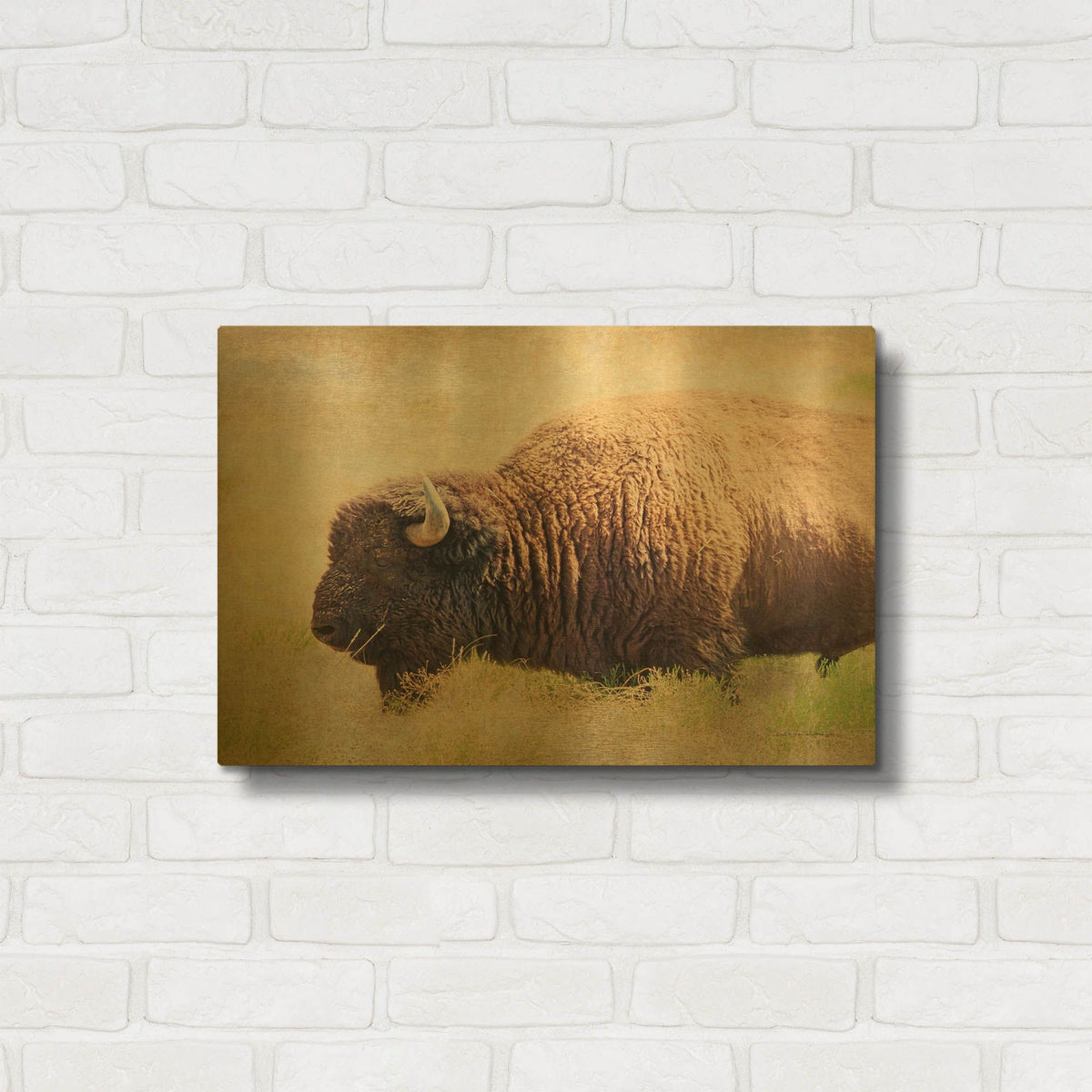 'Buffalo II' By Debra Van Swearingen Gold Metal Wall Art