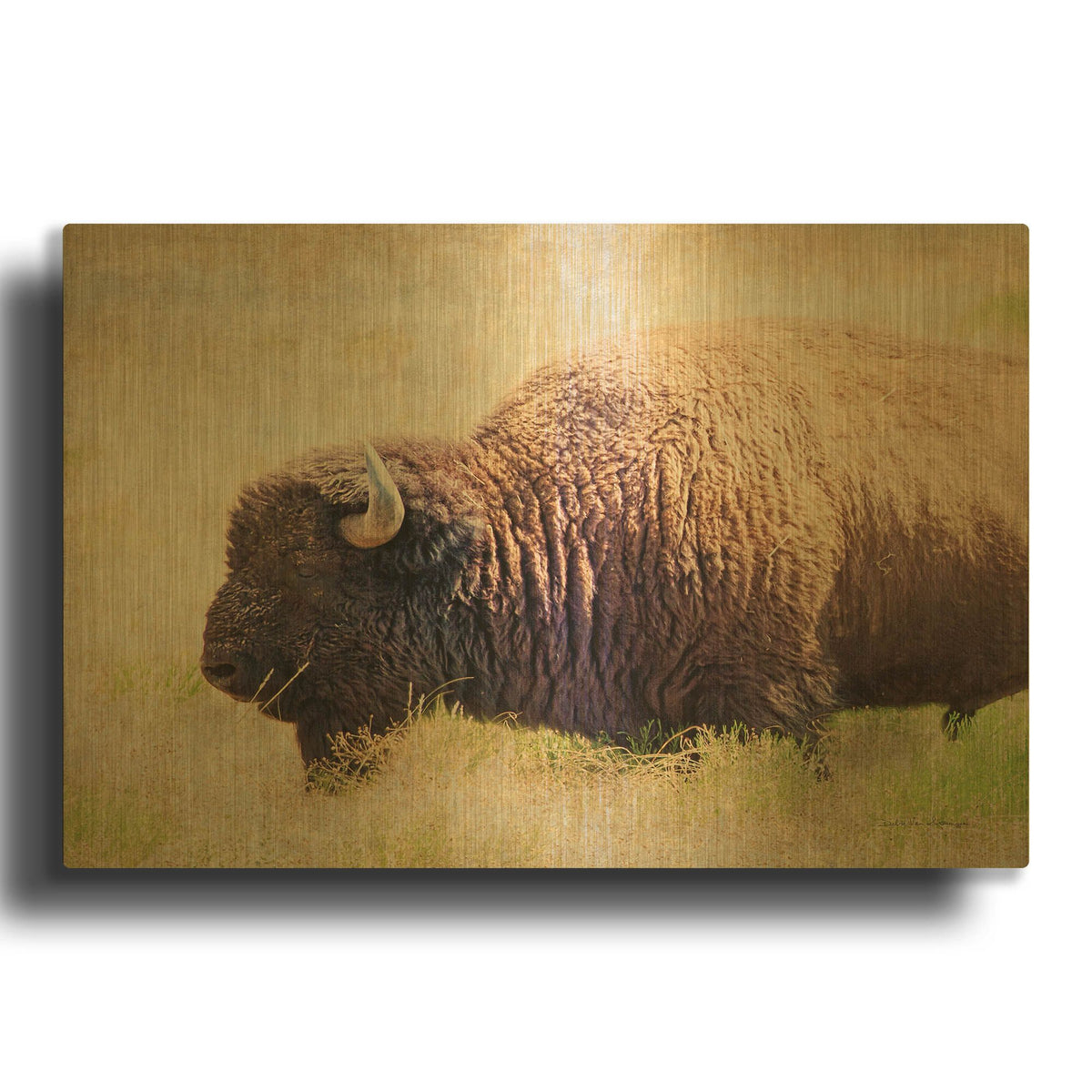 'Buffalo II' By Debra Van Swearingen Gold Metal Wall Art