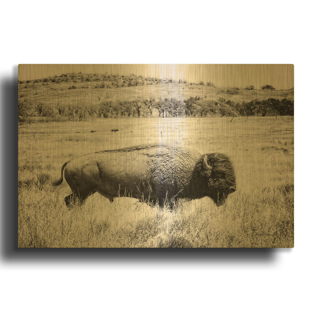 'Buffalo I BW' By Debra Van Swearingen Gold Metal Wall Art