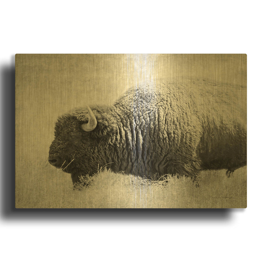 'Buffalo II BW' By Debra Van Swearingen Gold Metal Wall Art