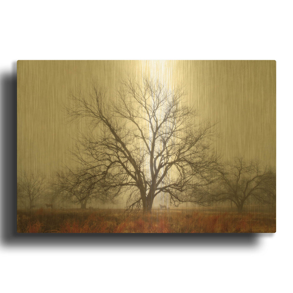 'Morning Calm I' By Debra Van Swearingen Gold Metal Wall Art