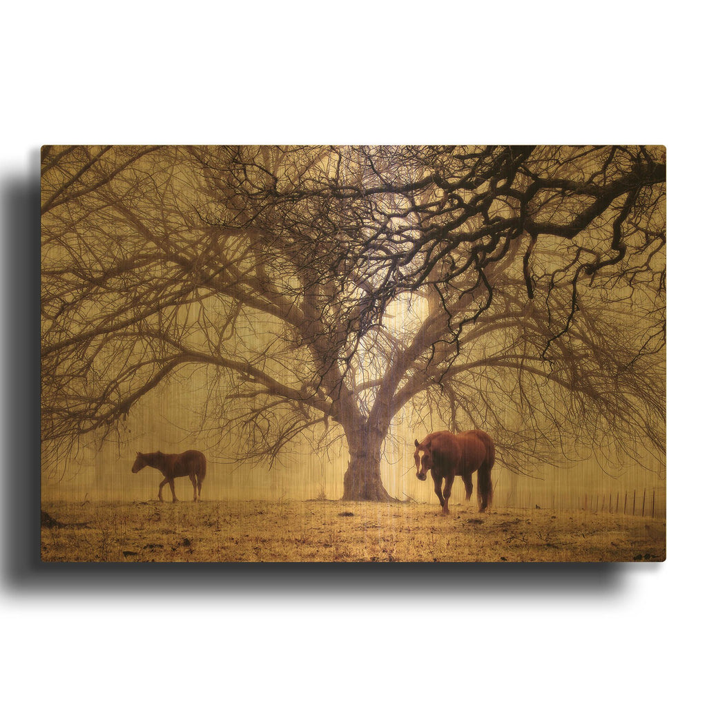 'Morning Calm II' By Debra Van Swearingen Gold Metal Wall Art