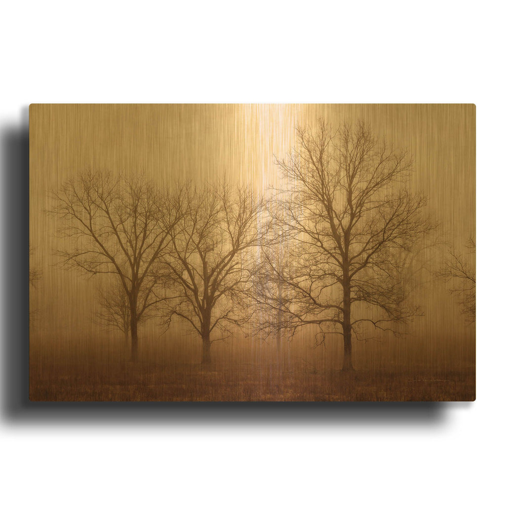 'Morning Calm III' By Debra Van Swearingen Gold Metal Wall Art
