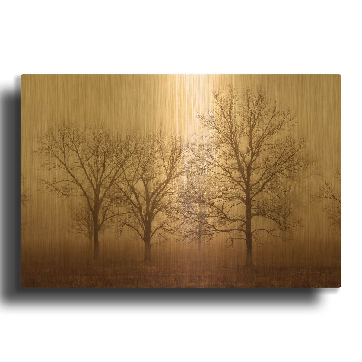'Morning Calm III' By Debra Van Swearingen Gold Metal Wall Art