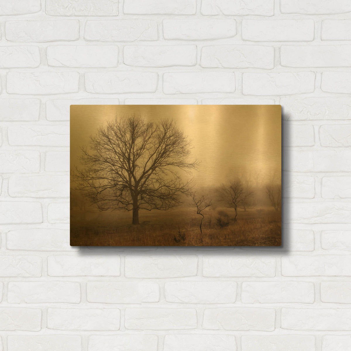 'Morning Calm IV' By Debra Van Swearingen Gold Metal Wall Art