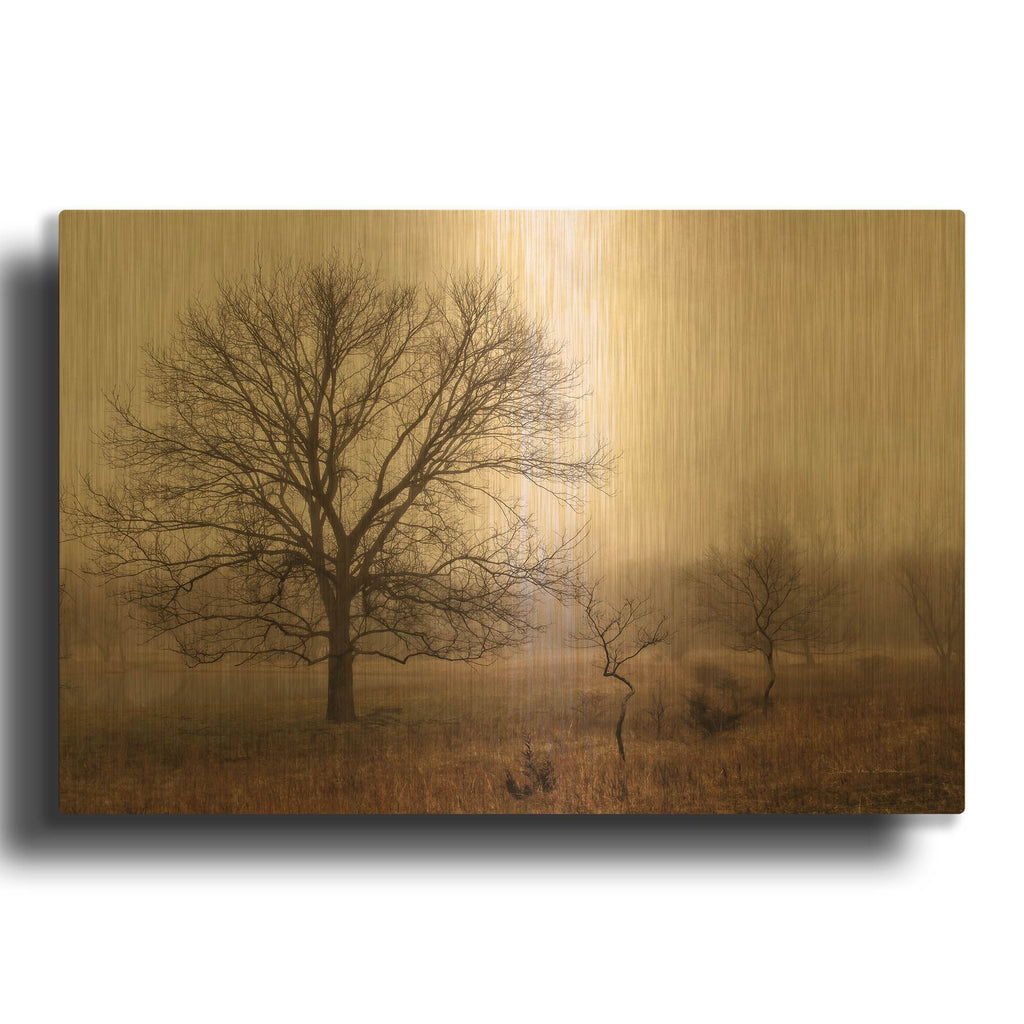 'Morning Calm IV' By Debra Van Swearingen Gold Metal Wall Art