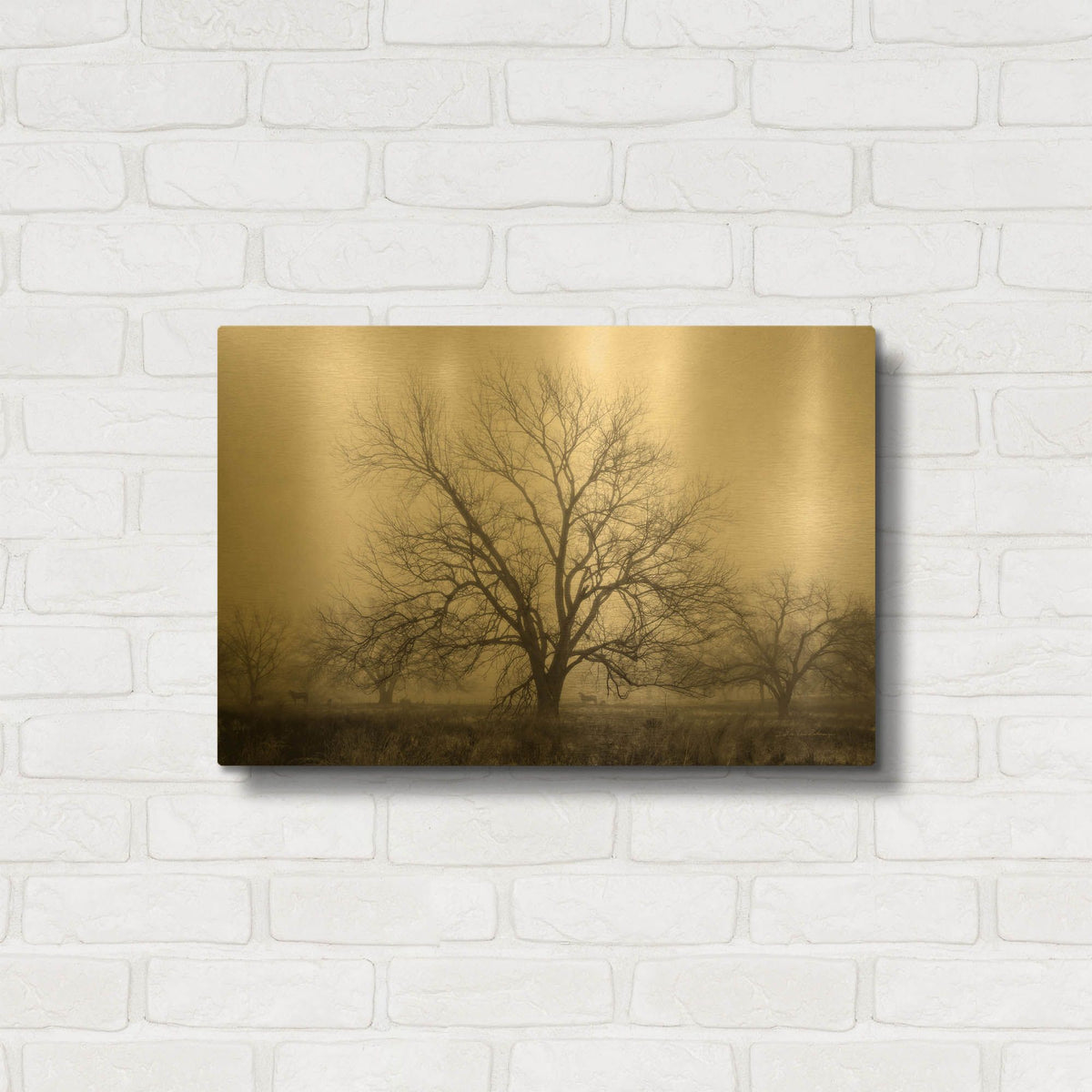 'Morning Calm I BW' By Debra Van Swearingen Gold Metal Wall Art