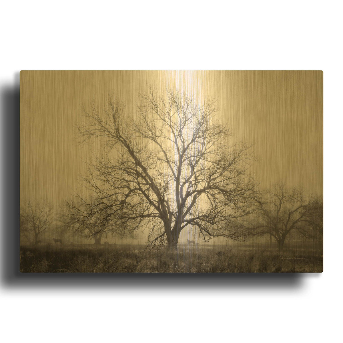 'Morning Calm I BW' By Debra Van Swearingen Gold Metal Wall Art