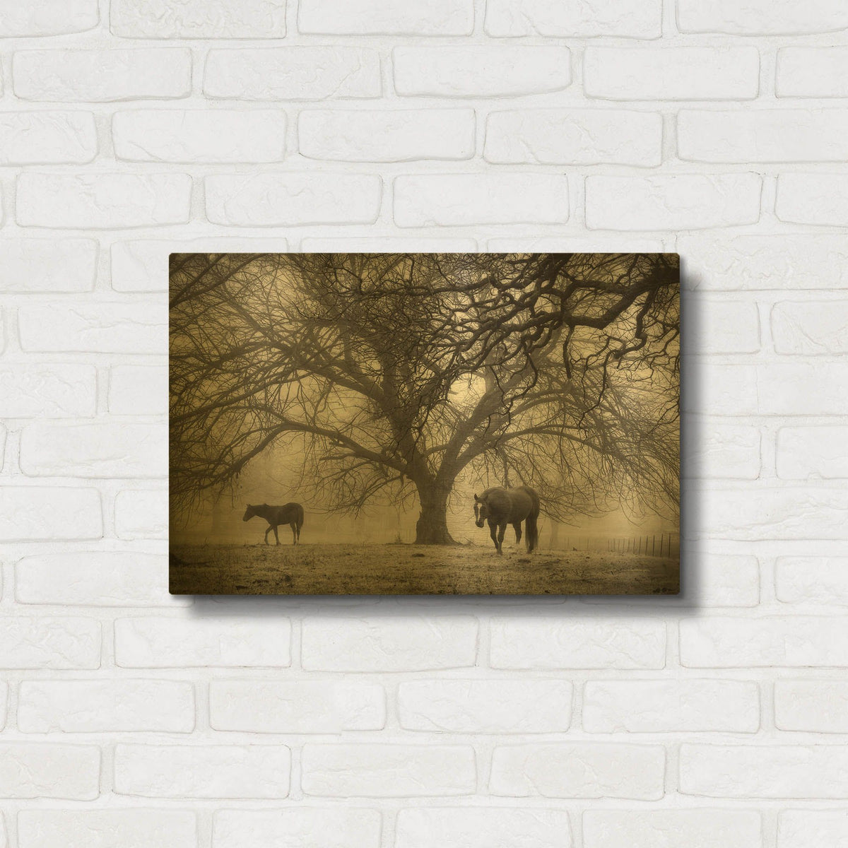 'Morning Calm II BW' By Debra Van Swearingen Gold Metal Wall Art