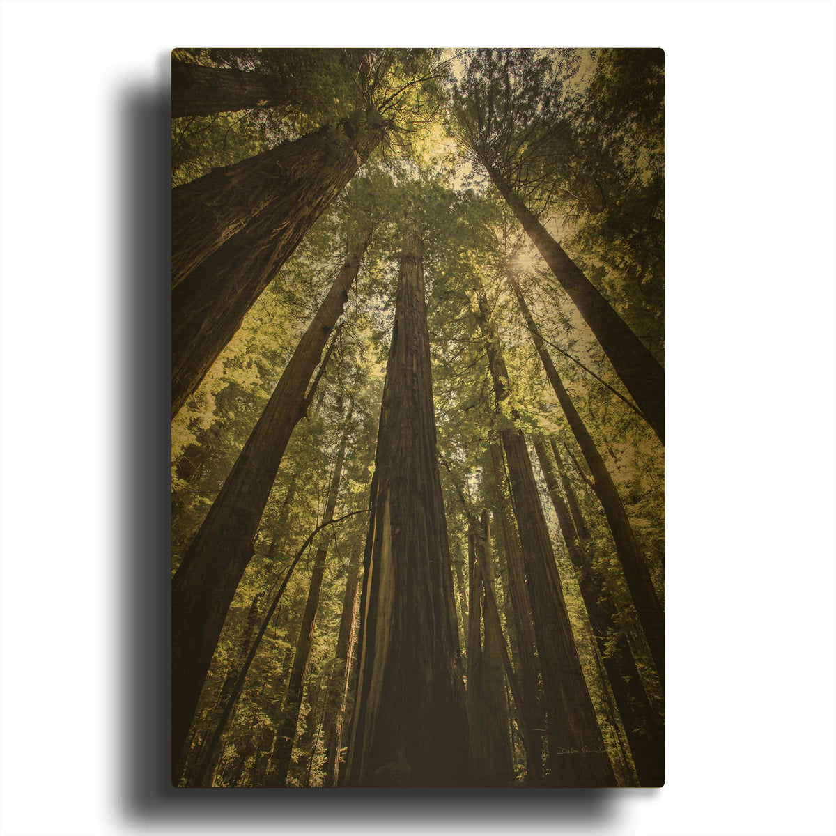 'The Stand' By Debra Van Swearingen Gold Metal Wall Art