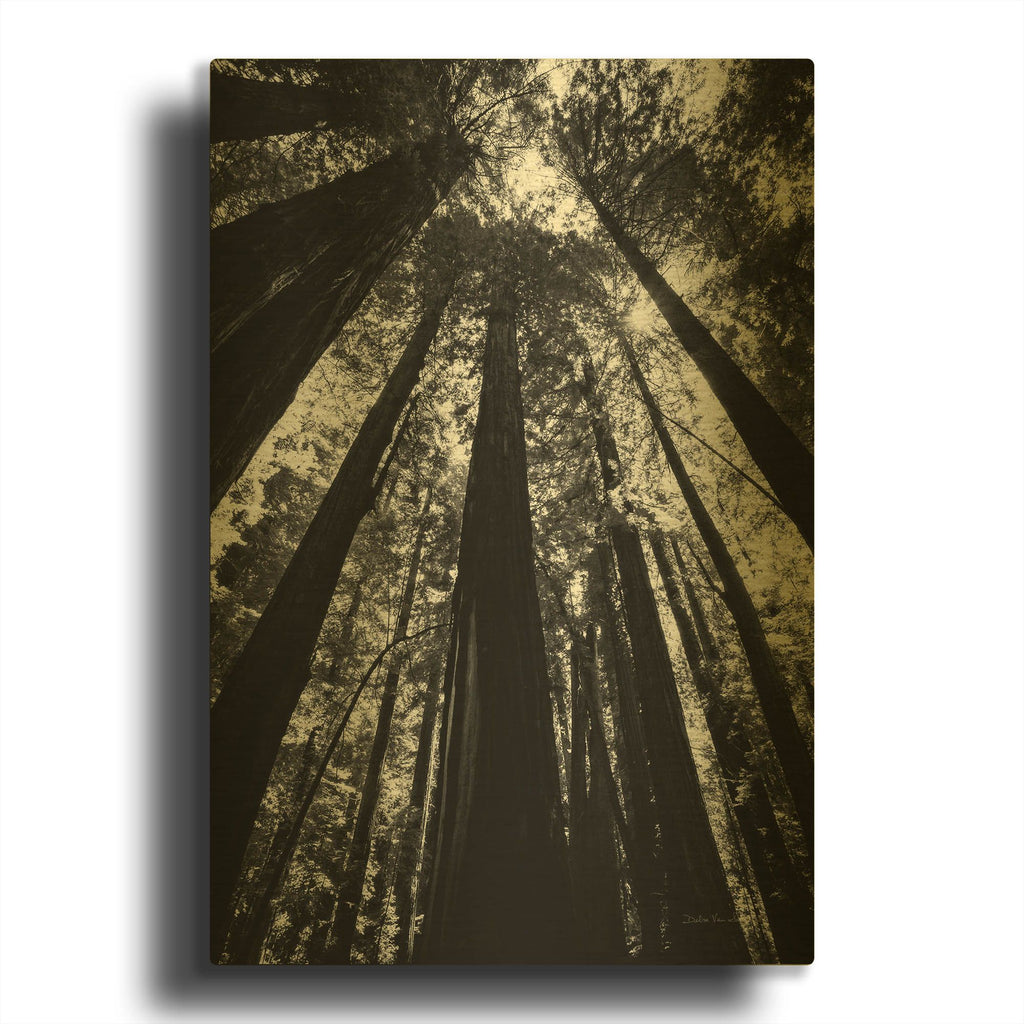 'The Stand BW' By Debra Van Swearingen Gold Metal Wall Art