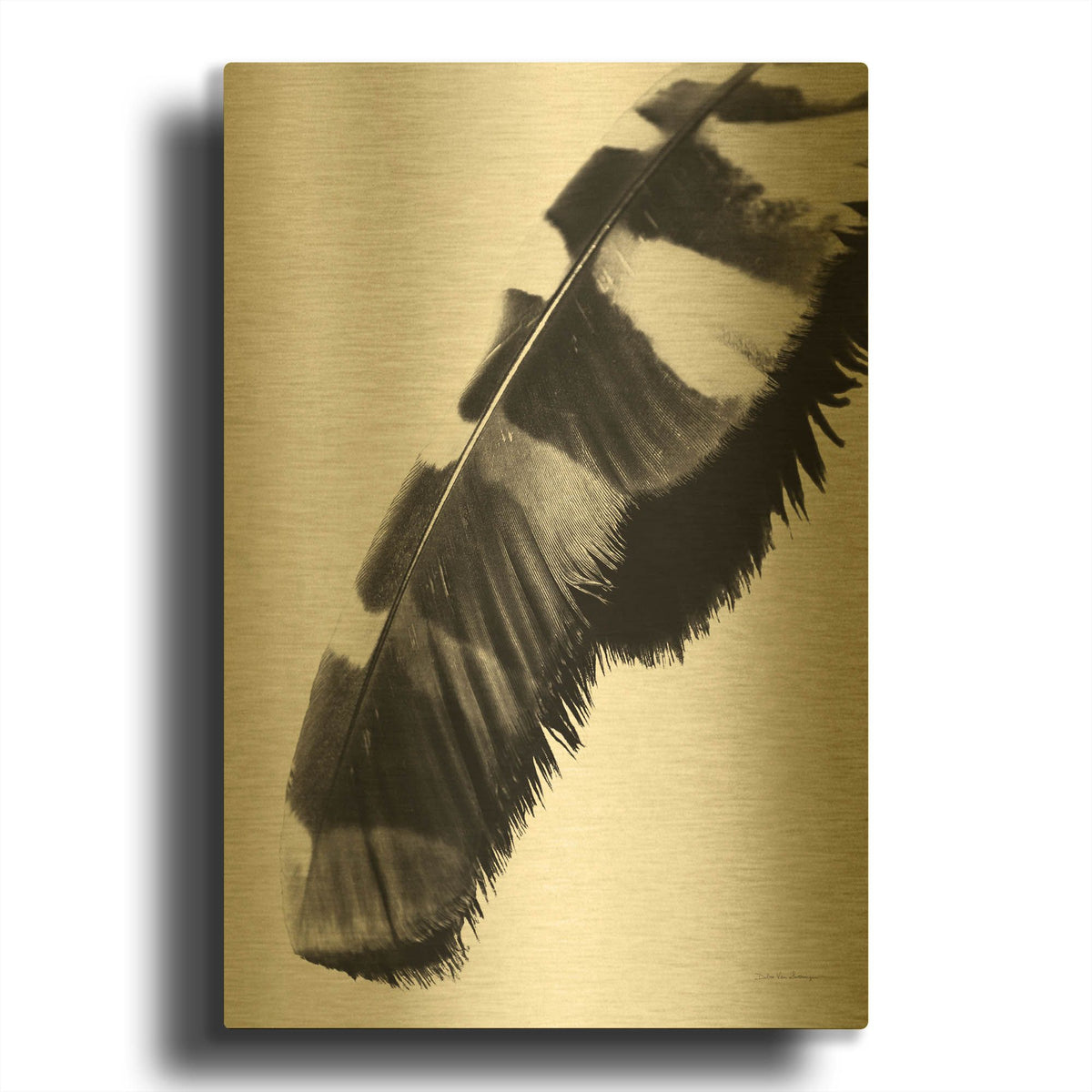 'Feather Shadow II White' By Debra Van Swearingen Gold Metal Wall Art