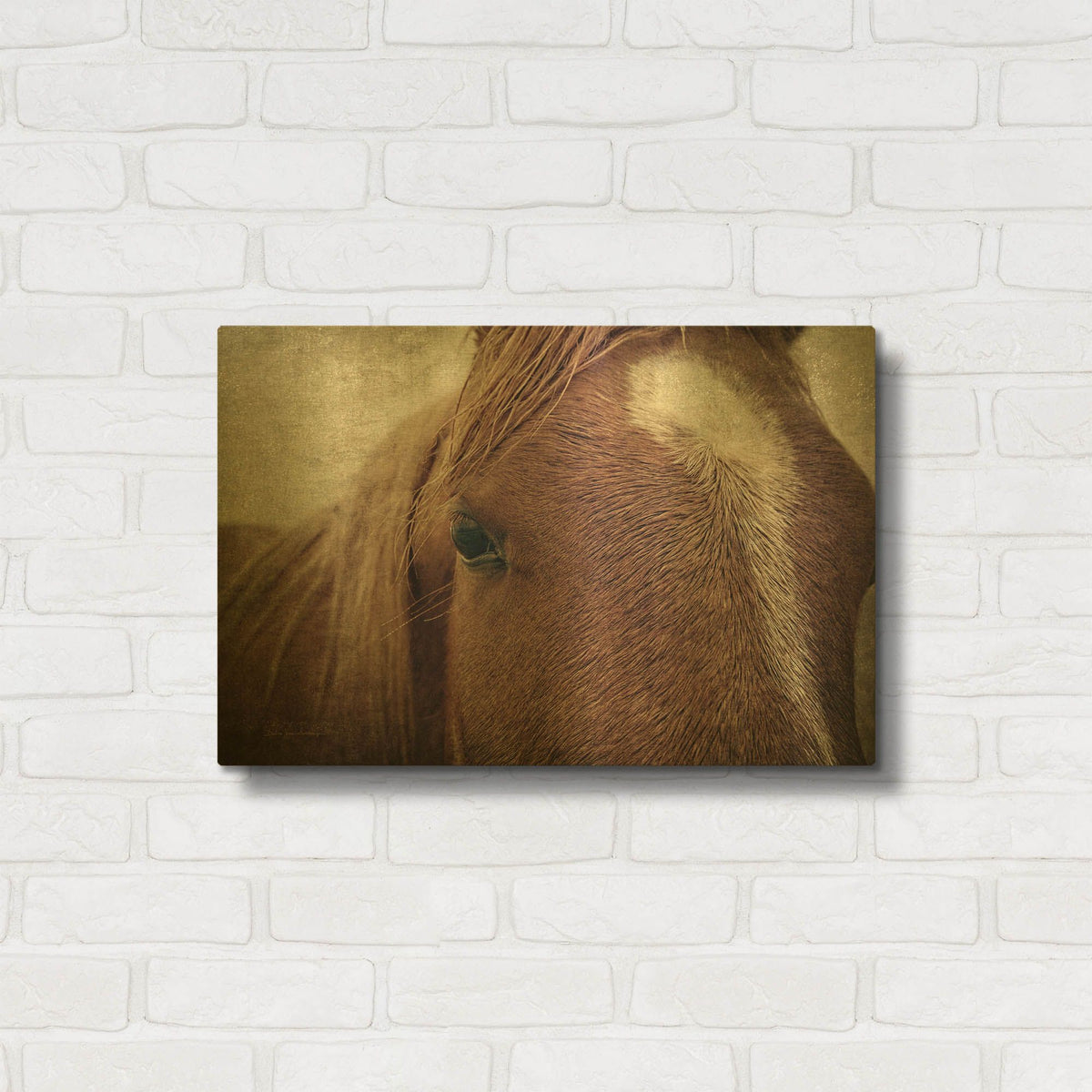 'Dew Lashes' By Debra Van Swearingen Gold Metal Wall Art