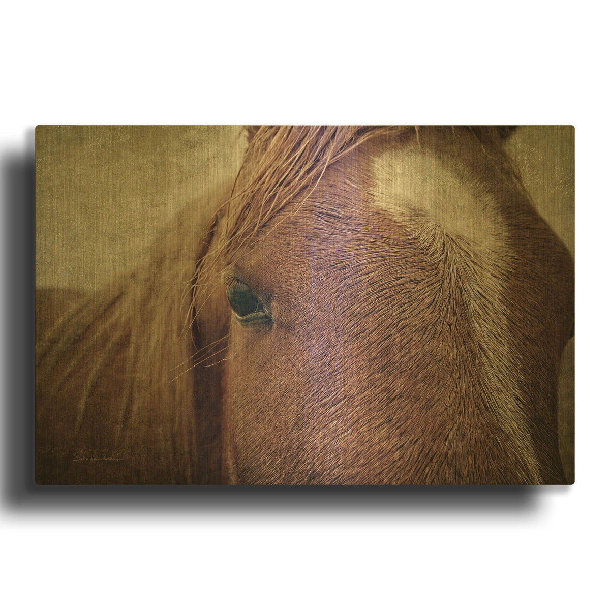 'Dew Lashes' By Debra Van Swearingen Gold Metal Wall Art