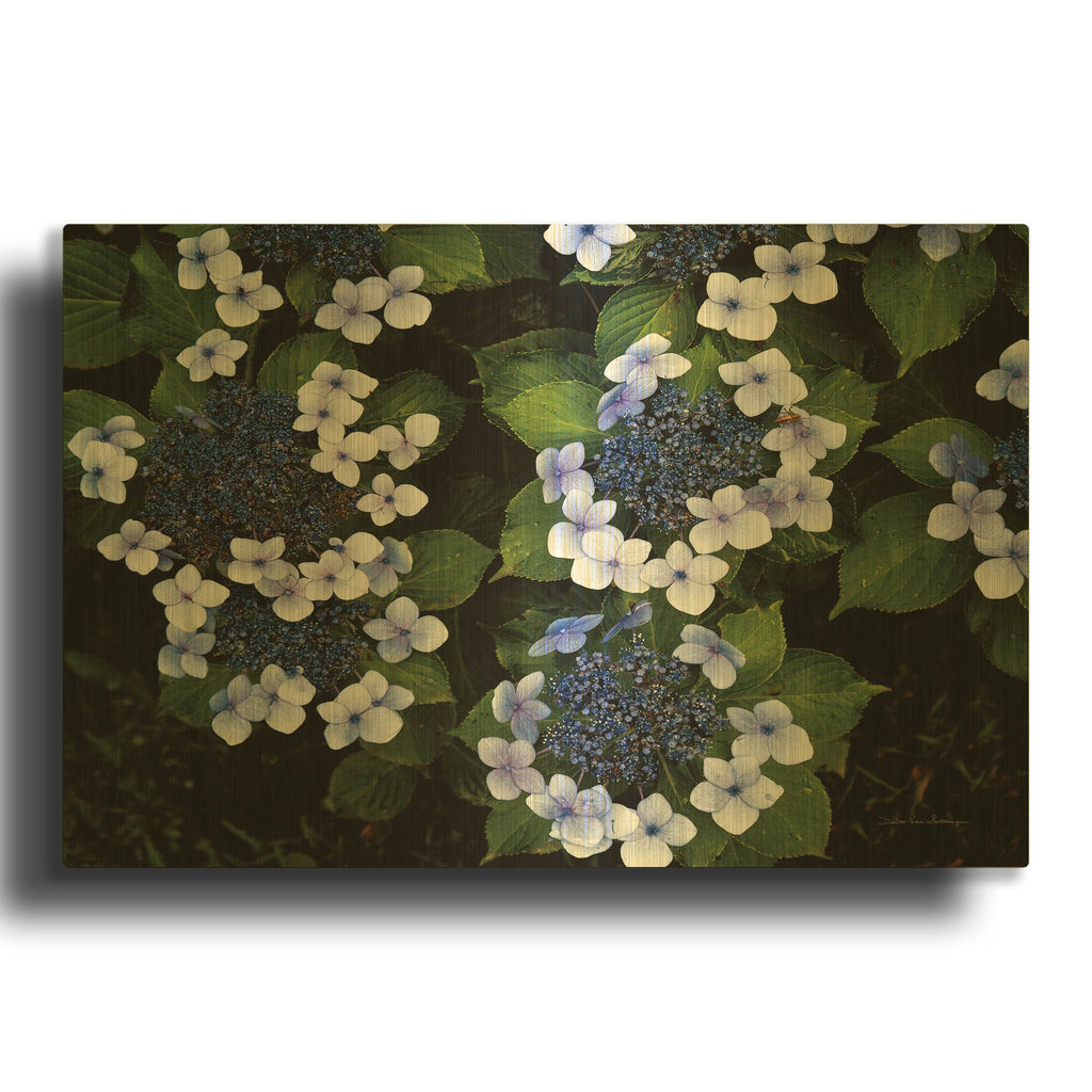 'Hydrangeas Opening' By Debra Van Swearingen Gold Metal Wall Art