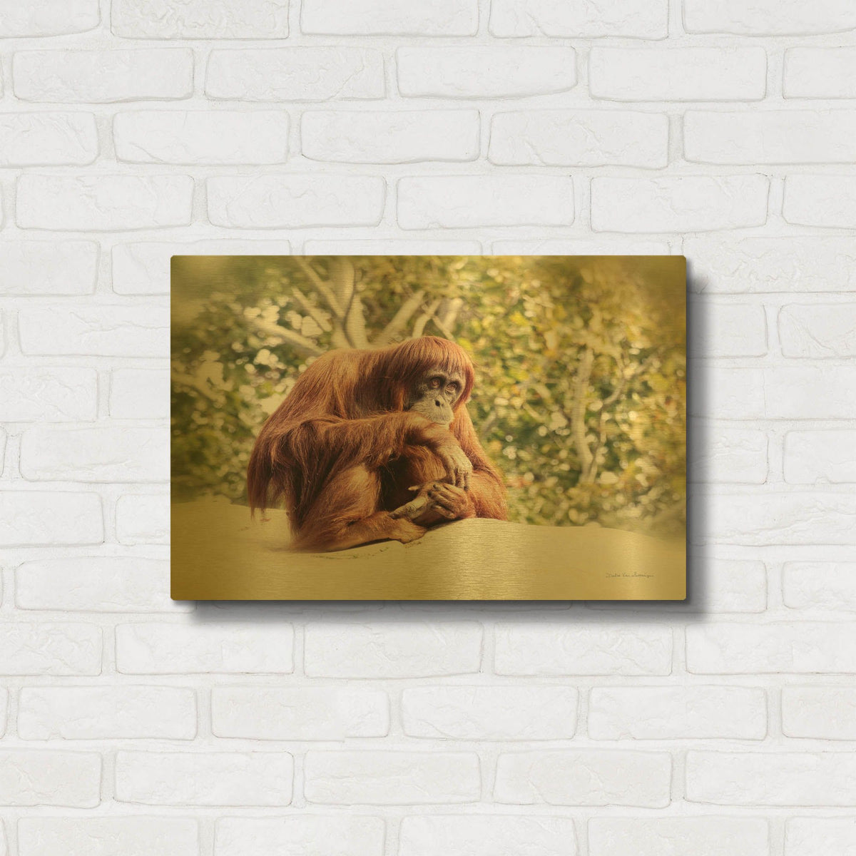 'Orangutan' By Debra Van Swearingen Gold Metal Wall Art