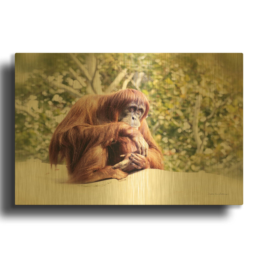 'Orangutan' By Debra Van Swearingen Gold Metal Wall Art