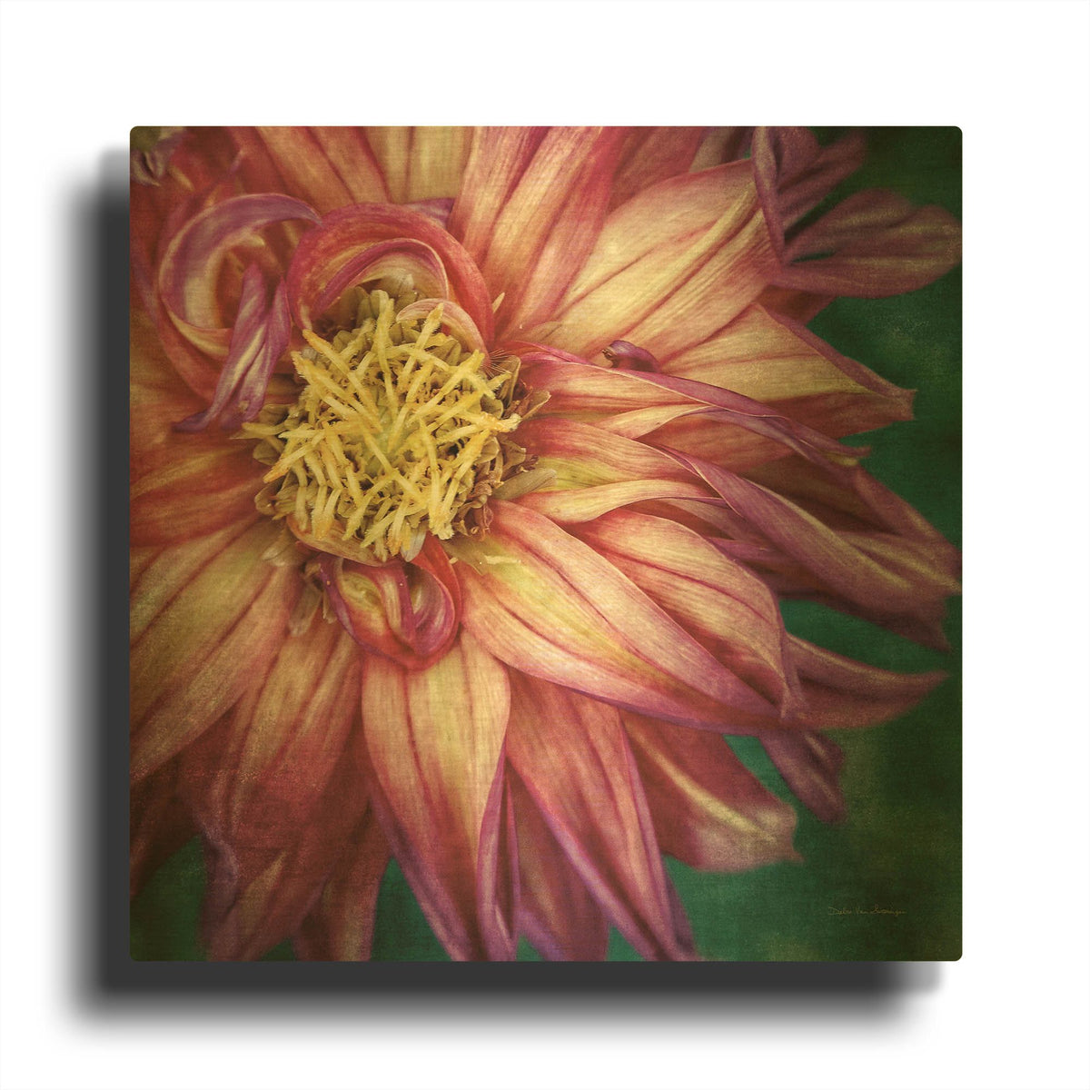 'Dahlia I' By Debra Van Swearingen Gold Metal Wall Art