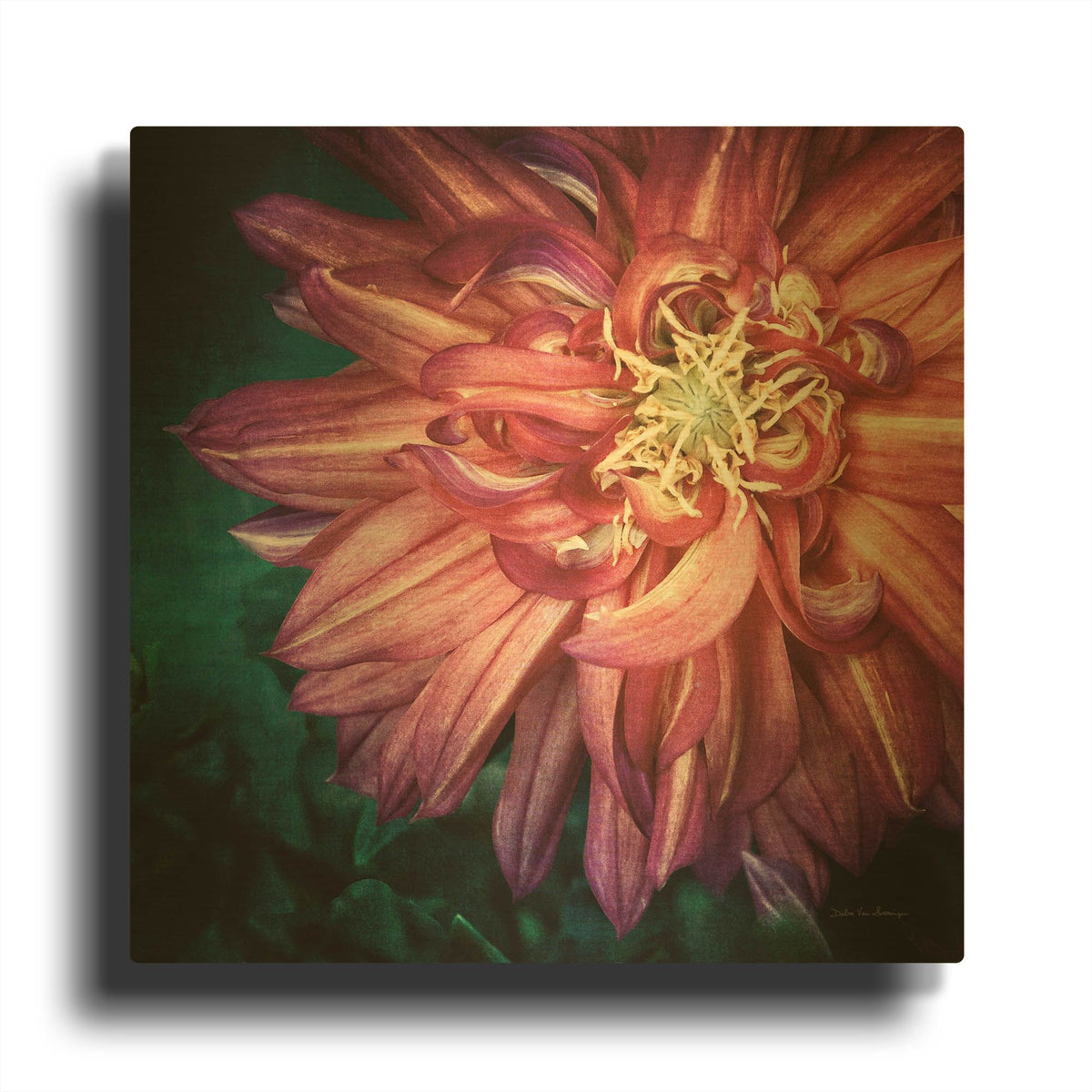 'Dahlia II' By Debra Van Swearingen Gold Metal Wall Art