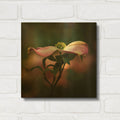 'Pink Dogwood I' By Debra Van Swearingen Gold Metal Wall Art