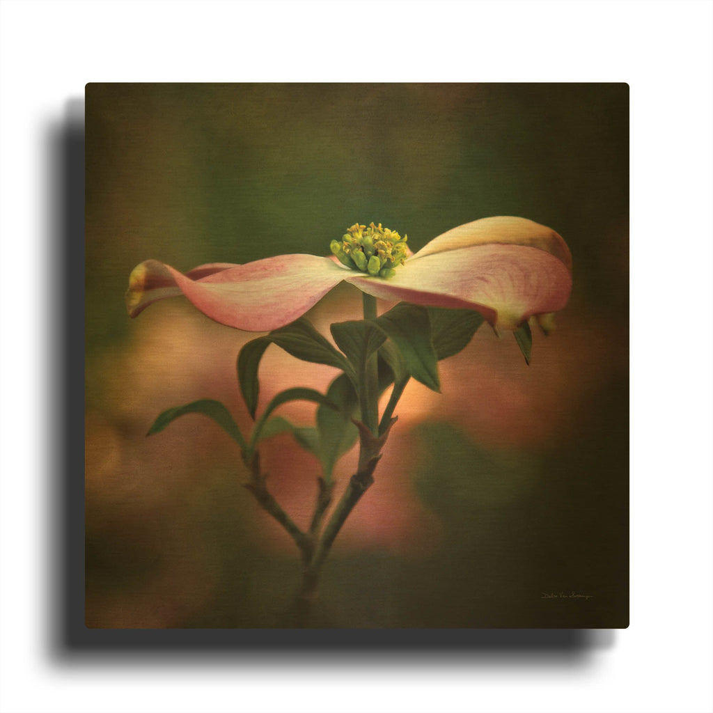 'Pink Dogwood I' By Debra Van Swearingen Gold Metal Wall Art