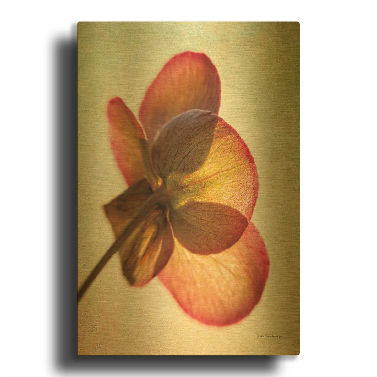 'Lenton Rose I' By Debra Van Swearingen Gold Metal Wall Art