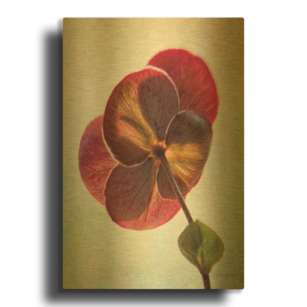 'Lenton Rose II' By Debra Van Swearingen Gold Metal Wall Art