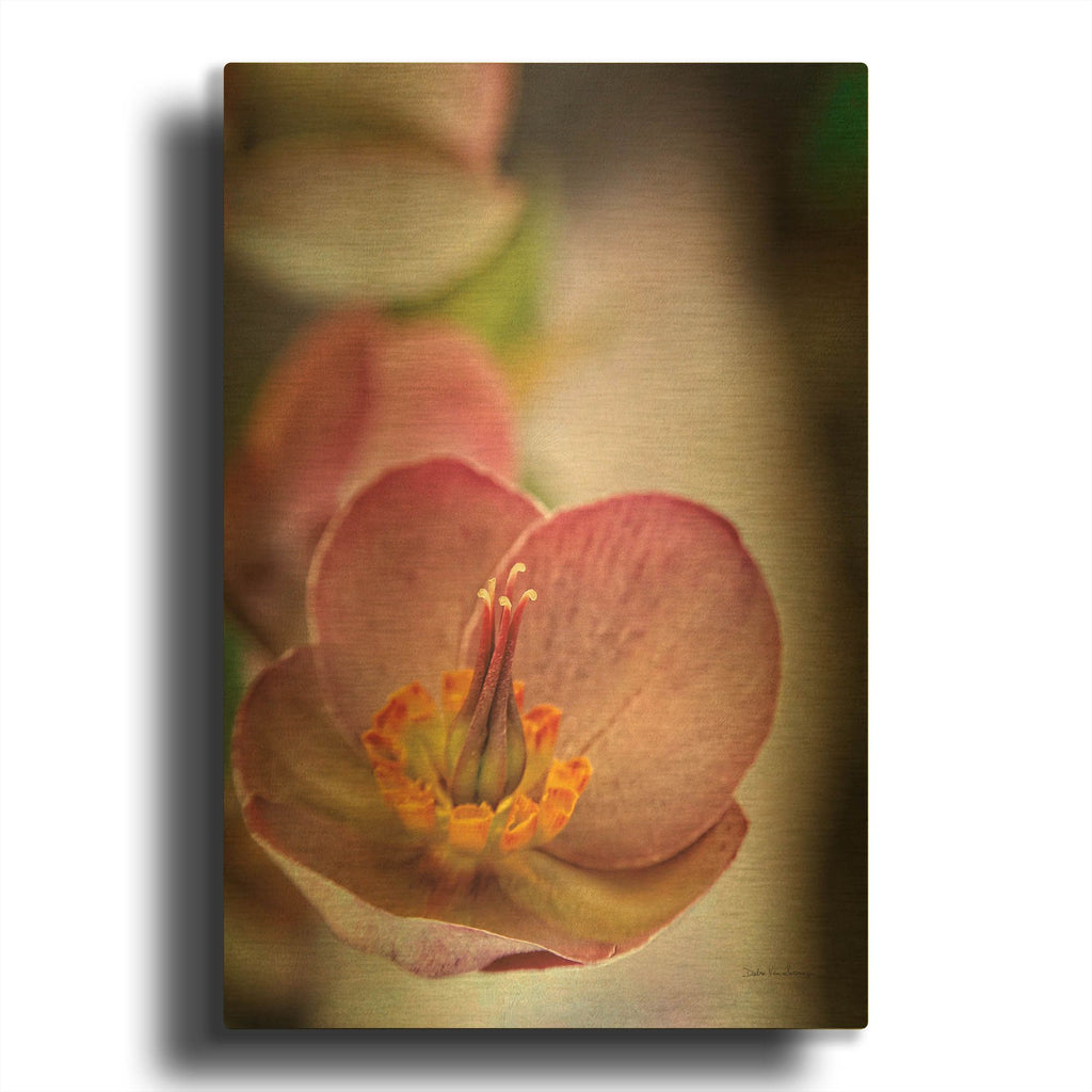'Lenton Rose III' By Debra Van Swearingen Gold Metal Wall Art