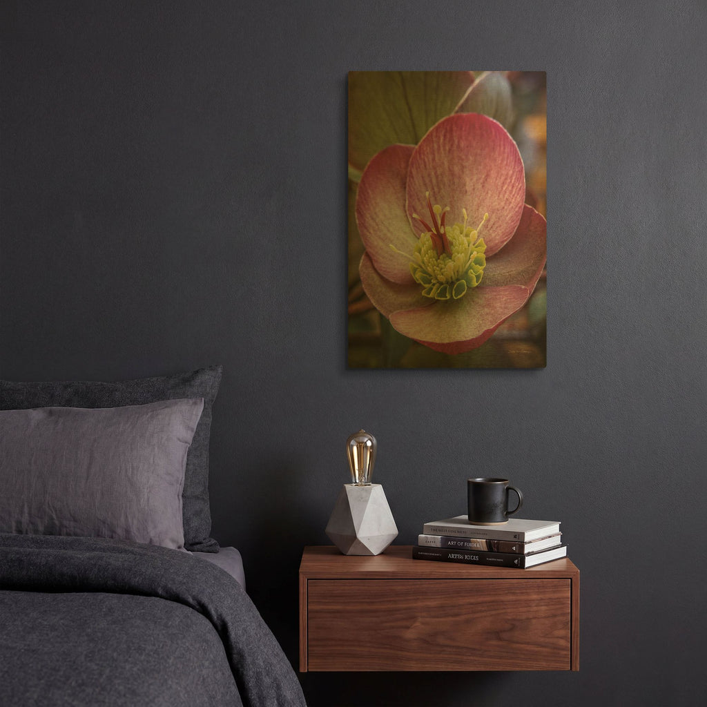 'Lenton Rose IV' By Debra Van Swearingen Gold Metal Wall Art