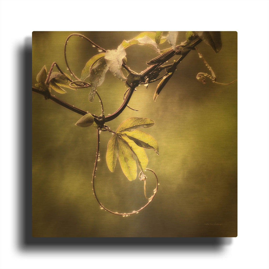 'Passion Flower Vine I' By Debra Van Swearingen Gold Metal Wall Art