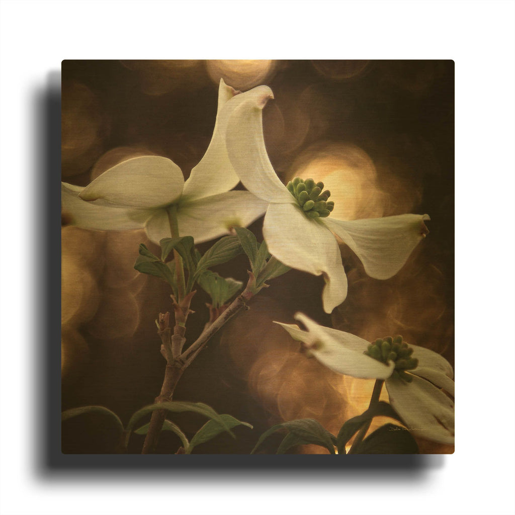 'White Dogwood I' By Debra Van Swearingen Gold Metal Wall Art